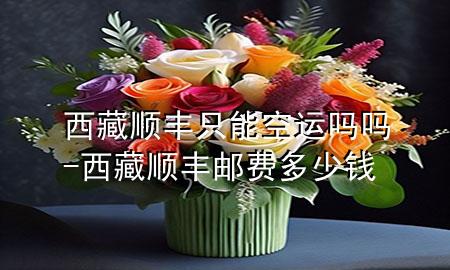 西藏顺丰只能空运吗吗-西藏顺丰邮费多少钱
