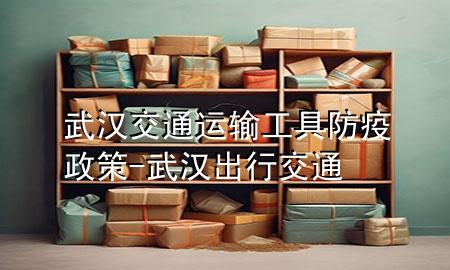 武汉交通运输工具防疫政策-武汉出行交通