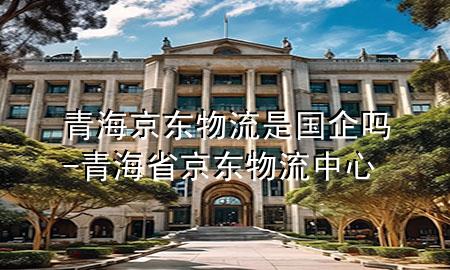 青海京东物流是国企吗-青海省京东物流中心