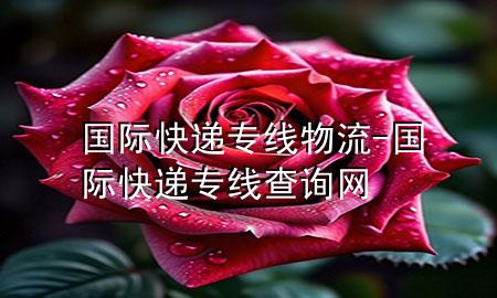 国际快递专线物流-国际快递专线查询网
