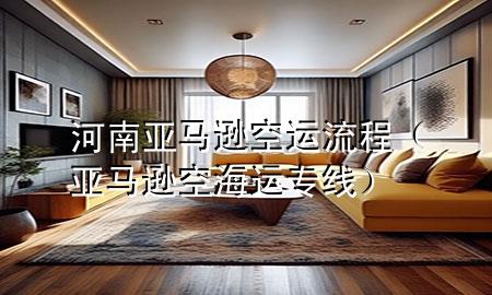 河南亚马逊空运流程(亚马逊空海运专线)