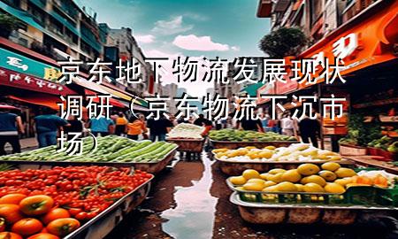 京东地下物流发展现状调研(京东物流下沉市场)