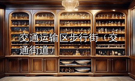 交通运输区步行街(交通街道)