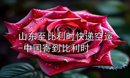 山东至比利时快递空运-中国寄到比利时