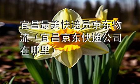 宜昌最美快递员京东物流(宜昌京东快递公司在哪里)