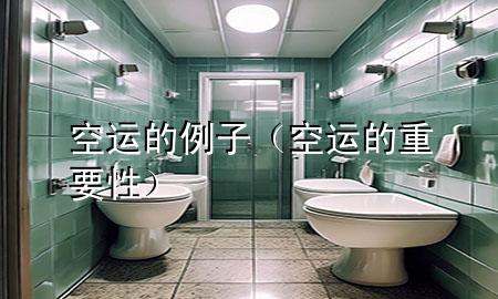 空运的例子(空运的重要性)