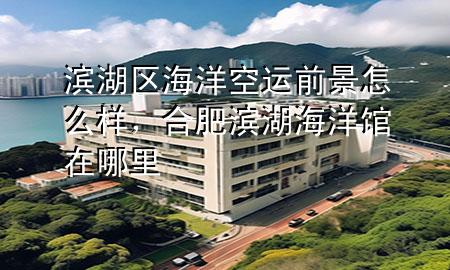 滨湖区海洋空运前景怎么样,合肥滨湖海洋馆在哪里