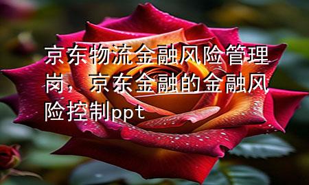 京东物流金融风险管理岗,京东金融的金融风险控制ppt