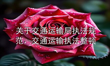 关于交通运输局执法规范,交通运输执法整顿