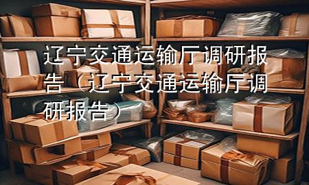 辽宁交通运输厅调研报告(辽宁交通运输厅调研报告)