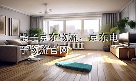 骰子京东物流,京东电子物流官网