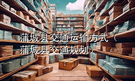 蒲城县交通运输方式(蒲城县交通规划)
