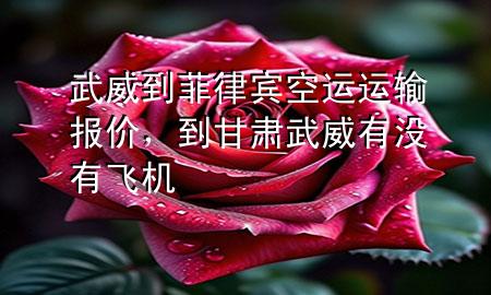 武威到菲律宾空运运输报价,到甘肃武威有没有飞机