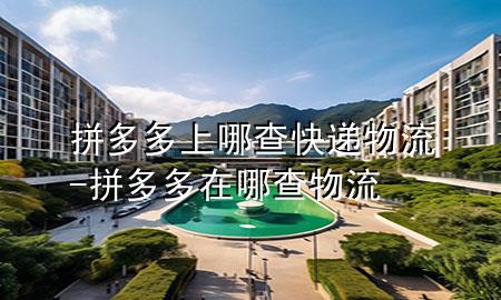 拼多多上哪查快递物流-拼多多在哪查物流