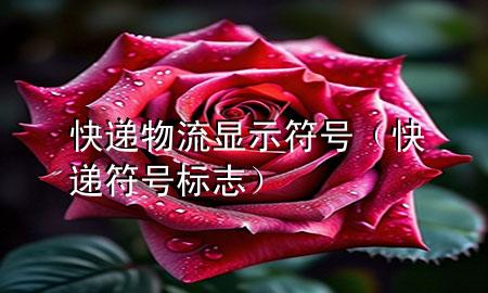 快递物流显示符号(快递符号标志)