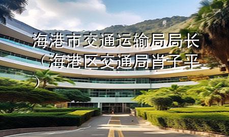 海港市交通运输局局长(海港区交通局肖子平)