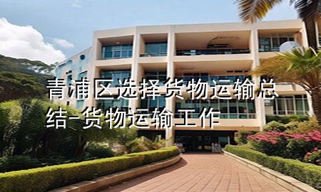 青浦区选择货物运输总结-货物运输工作