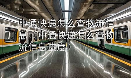 中通快递怎么查物流信息(中通快递怎么查物流信息进度)