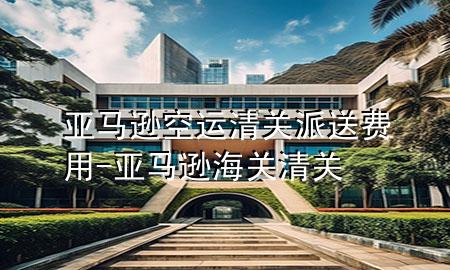 亚马逊空运清关派送费用-亚马逊海关清关