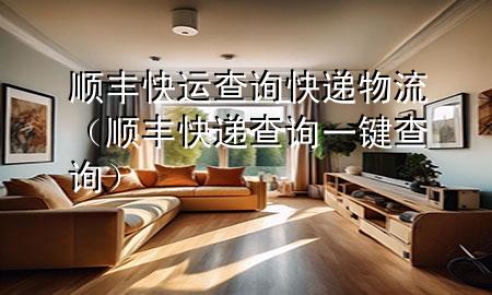 顺丰快运查询快递物流(顺丰快递查询一键查询)