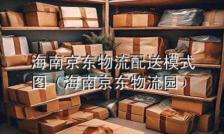 海南京东物流配送模式图(海南京东物流园)