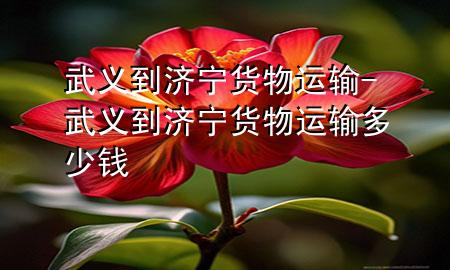 武义到济宁货物运输-武义到济宁货物运输多少钱