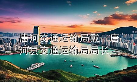 唐河交通运输局 戴,唐河县交通运输局局长