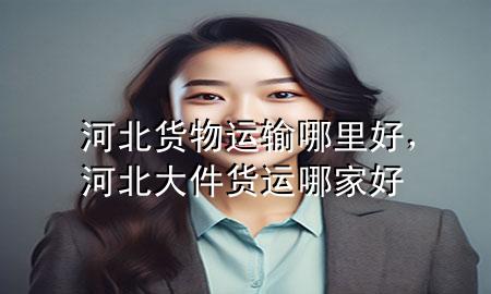 河北货物运输哪里好,河北大件货运哪家好