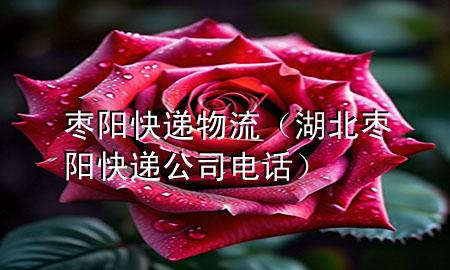枣阳快递物流(湖北枣阳快递公司电话)