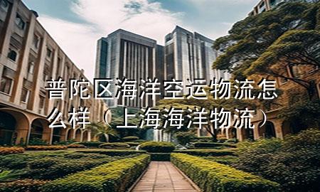 普陀区海洋空运物流怎么样(上海海洋物流)