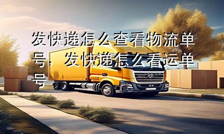 发快递怎么查看物流单号,发快递怎么看运单号