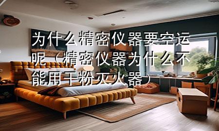 为什么精密仪器要空运呢(精密仪器为什么不能用干粉灭火器)