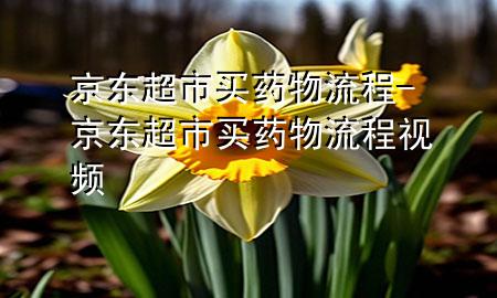 京东超市买药物流程-京东超市买药物流程视频