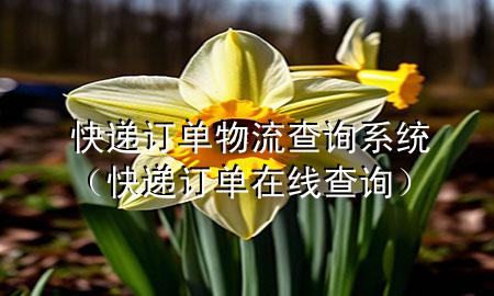 快递订单物流查询系统(快递订单在线查询)