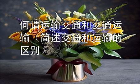 何谓运输交通和交通运输(简述交通和运输的区别)