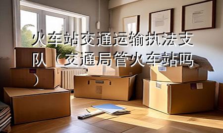 火车站交通运输执法支队(交通局管火车站吗)