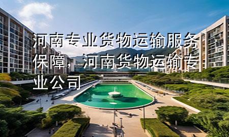河南专业货物运输服务保障,河南货物运输专业公司