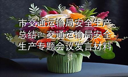市交通运输局安全生产总结,交通运输局安全生产专题会议发言材料