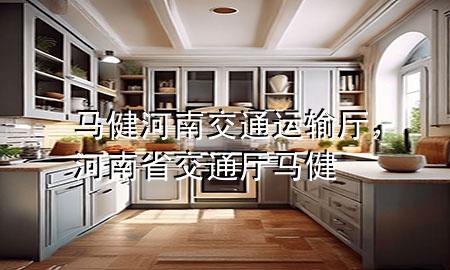 马健河南交通运输厅,河南省交通厅马健