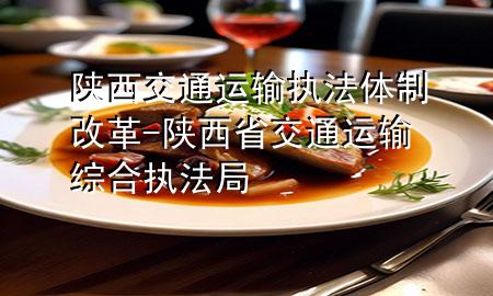 陕西交通运输执法体制改革-陕西省交通运输综合执法局