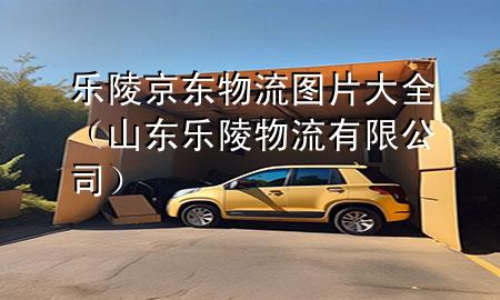 乐陵京东物流图片大全（山东乐陵物流有限公司）
