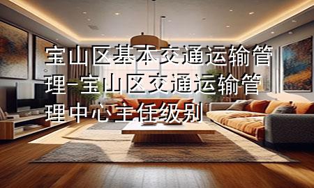 宝山区基本交通运输管理-宝山区交通运输管理中心主任级别