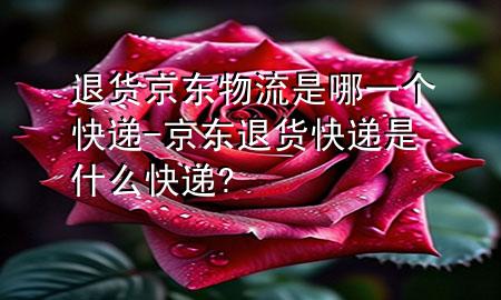 退货京东物流是哪一个快递-京东退货快递是什么快递?