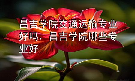 昌吉学院交通运输专业好吗,昌吉学院哪些专业好