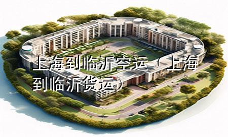 上海到临沂空运(上海到临沂货运)