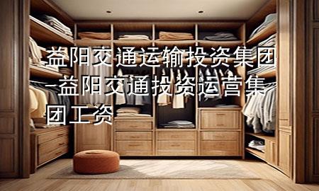 益阳交通运输投资集团-益阳交通投资运营集团工资
