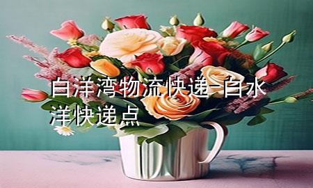白洋湾物流快递-白水洋快递点