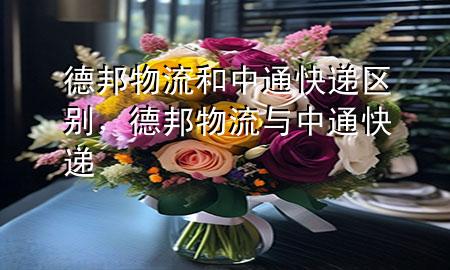 德邦物流和中通快递区别,德邦物流与中通快递