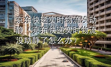 京东快递实时物流没动静(京东快递实时物流没动静了怎么办)
