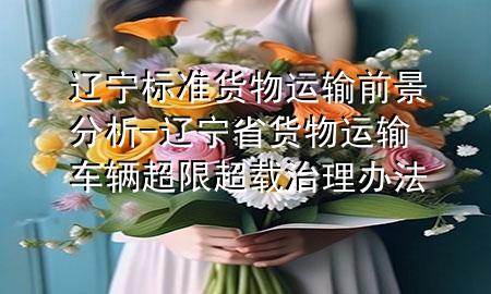 辽宁标准货物运输前景分析-辽宁省货物运输车辆超限超载治理办法